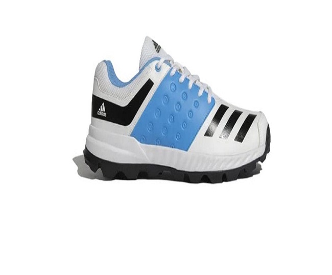 Best Cricket Shoes Brands in India (August 2023)